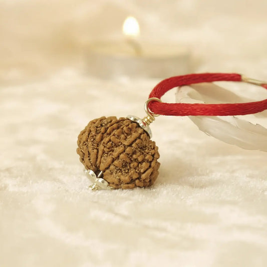 Nepal Origin 10 Mukhi Rudraksha