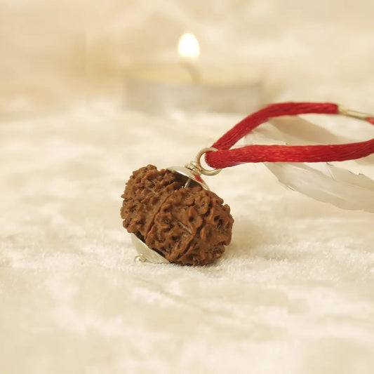 Nepal Origin 11 Mukhi Rudraksha