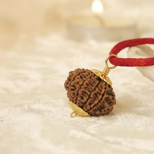 Nepal Origin 15 Mukhi Rudraksha