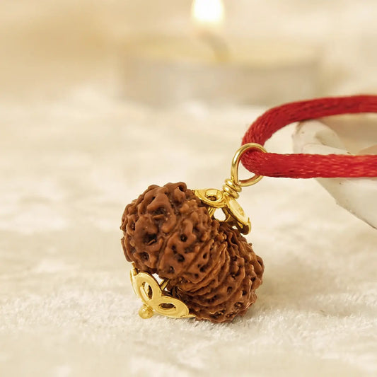 Nepal Origin 16 Mukhi Rudraksha