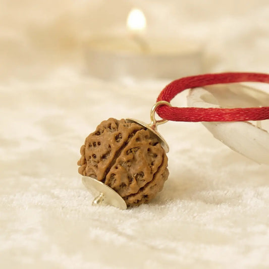 Nepal Origin 4 Mukhi Rudraksha