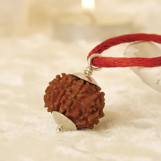 Nepal Origin 5 Mukhi Rudraksha