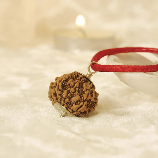 Nepal Origin 8 Mukhi Rudraksha