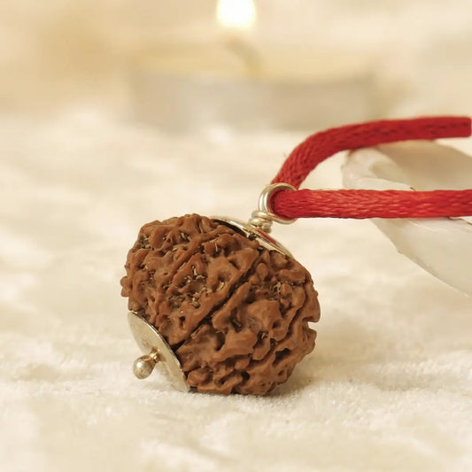 Nepal Origin 9 Mukhi Rudraksha
