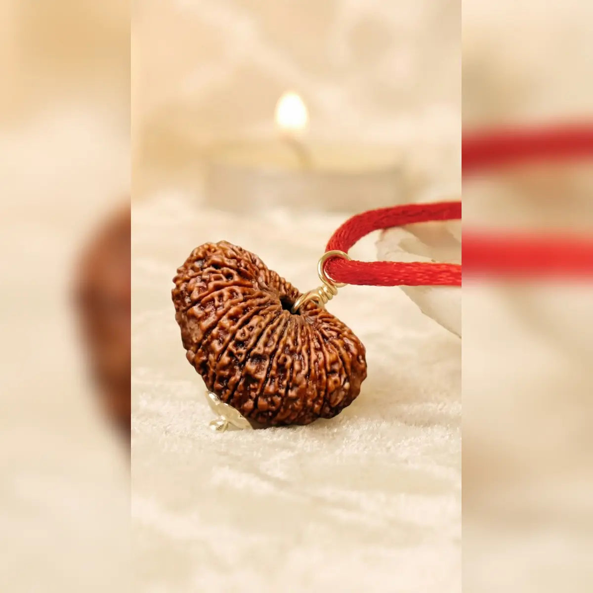 Rudraksha