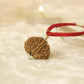 Nepal Origin 10 Mukhi Rudraksha