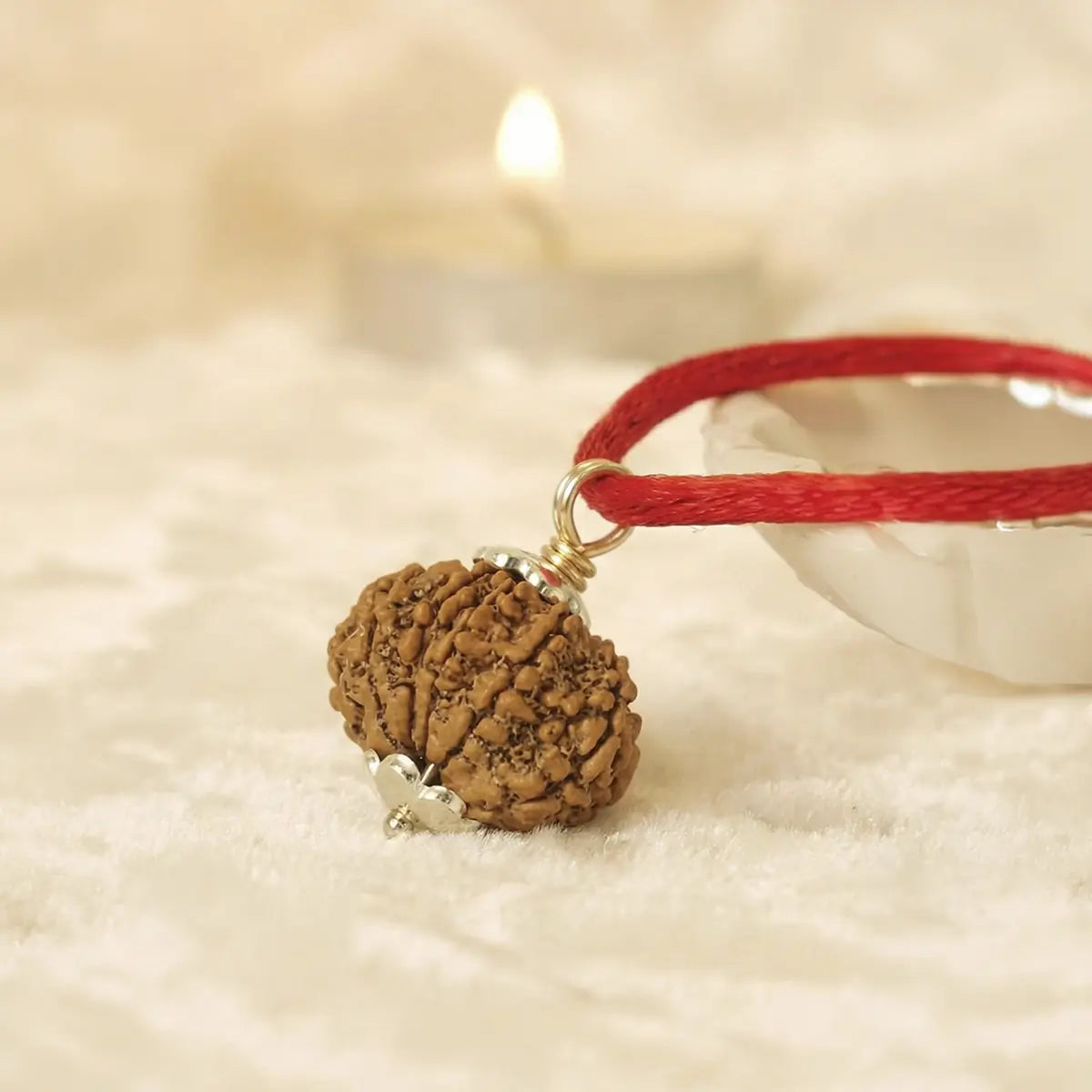 Nepal Origin 13 Mukhi Rudraksha