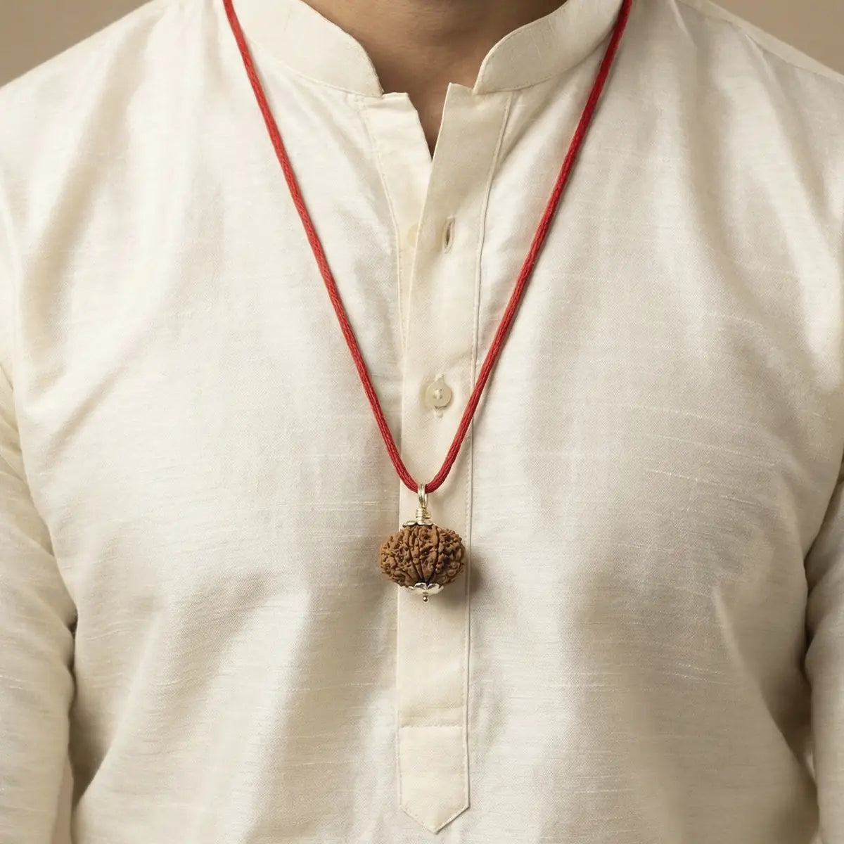 Nepal Origin 13 Mukhi Rudraksha