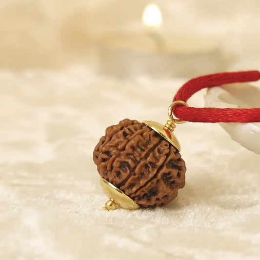 Nepal Origin 14 Mukhi Rudraksha