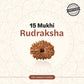 Nepal Origin 15 Mukhi Rudraksha