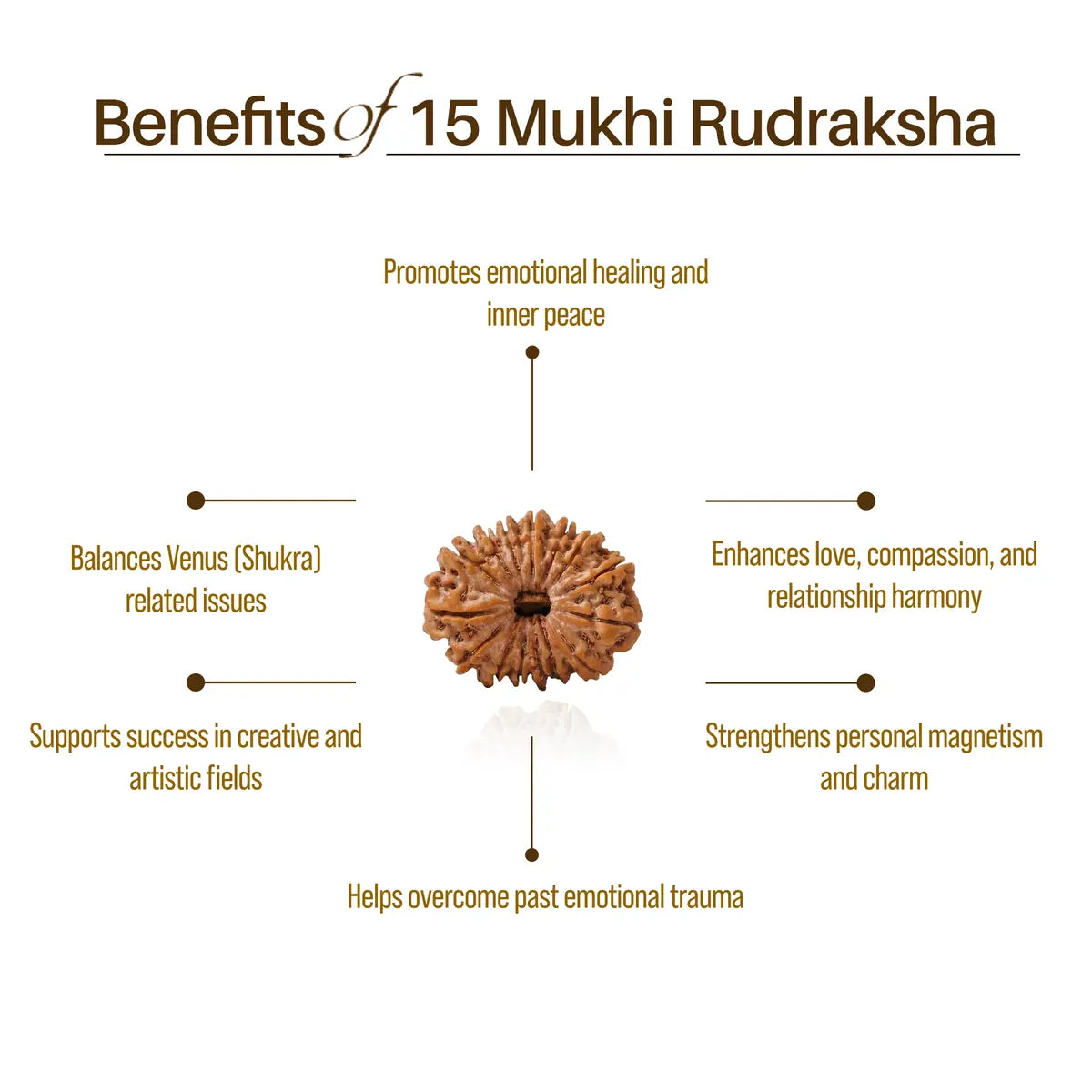 Nepal Origin 15 Mukhi Rudraksha