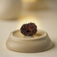 Nepal Origin 17 Mukhi Rudraksha