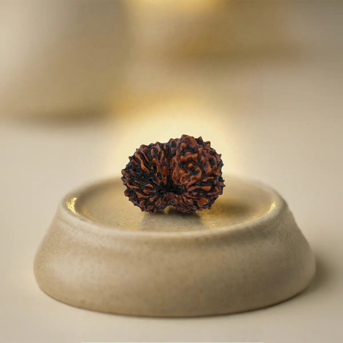 Nepal Origin 17 Mukhi Rudraksha