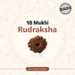Nepal Origin 18 Mukhi Rudraksha