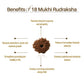 Nepal Origin 18 Mukhi Rudraksha
