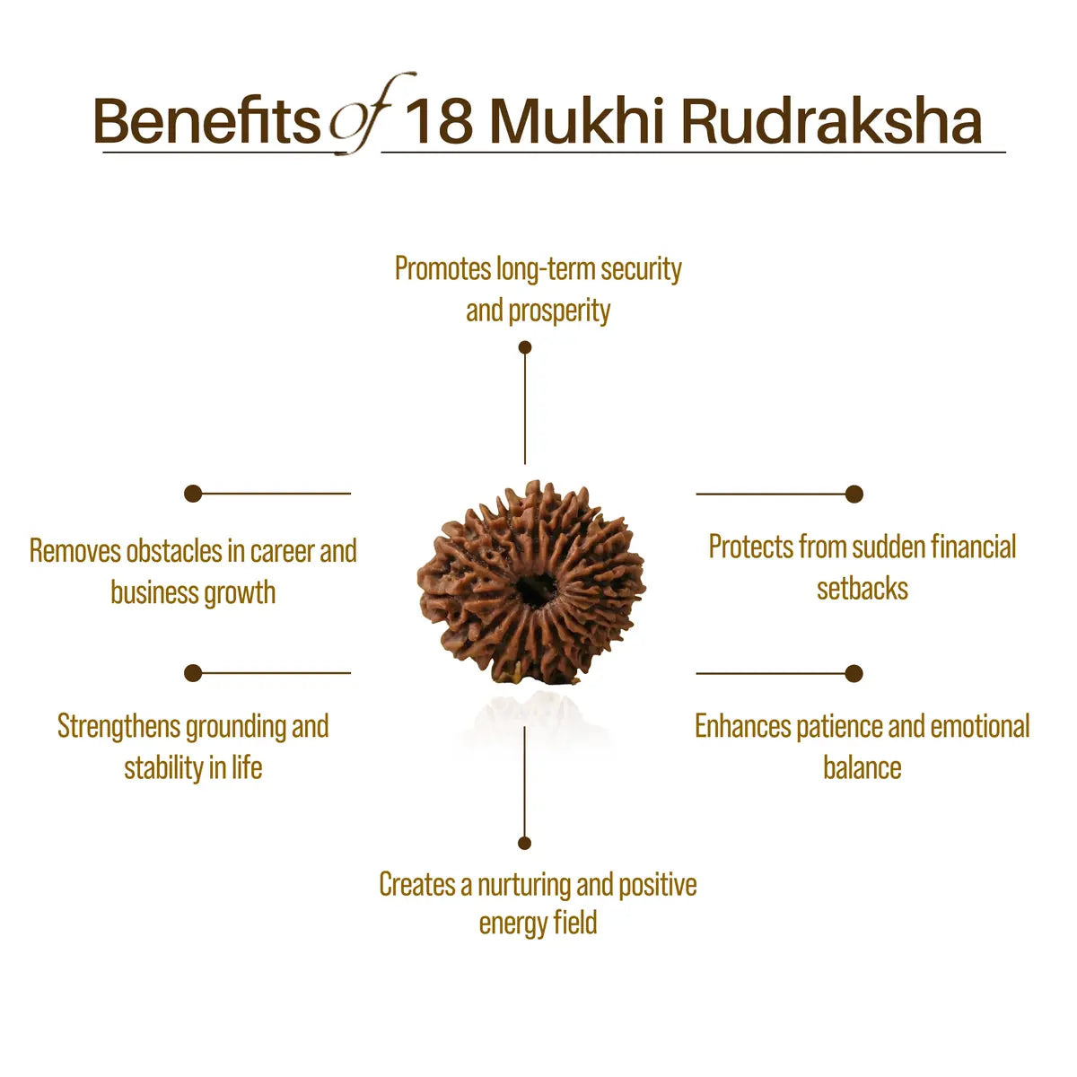Nepal Origin 18 Mukhi Rudraksha