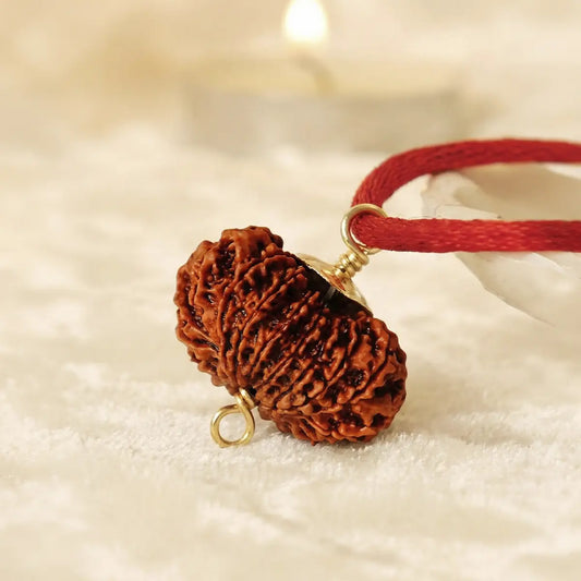 Nepal Origin 19 Mukhi Rudraksha