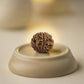 Nepal Origin 1 Mukhi Rudraksha