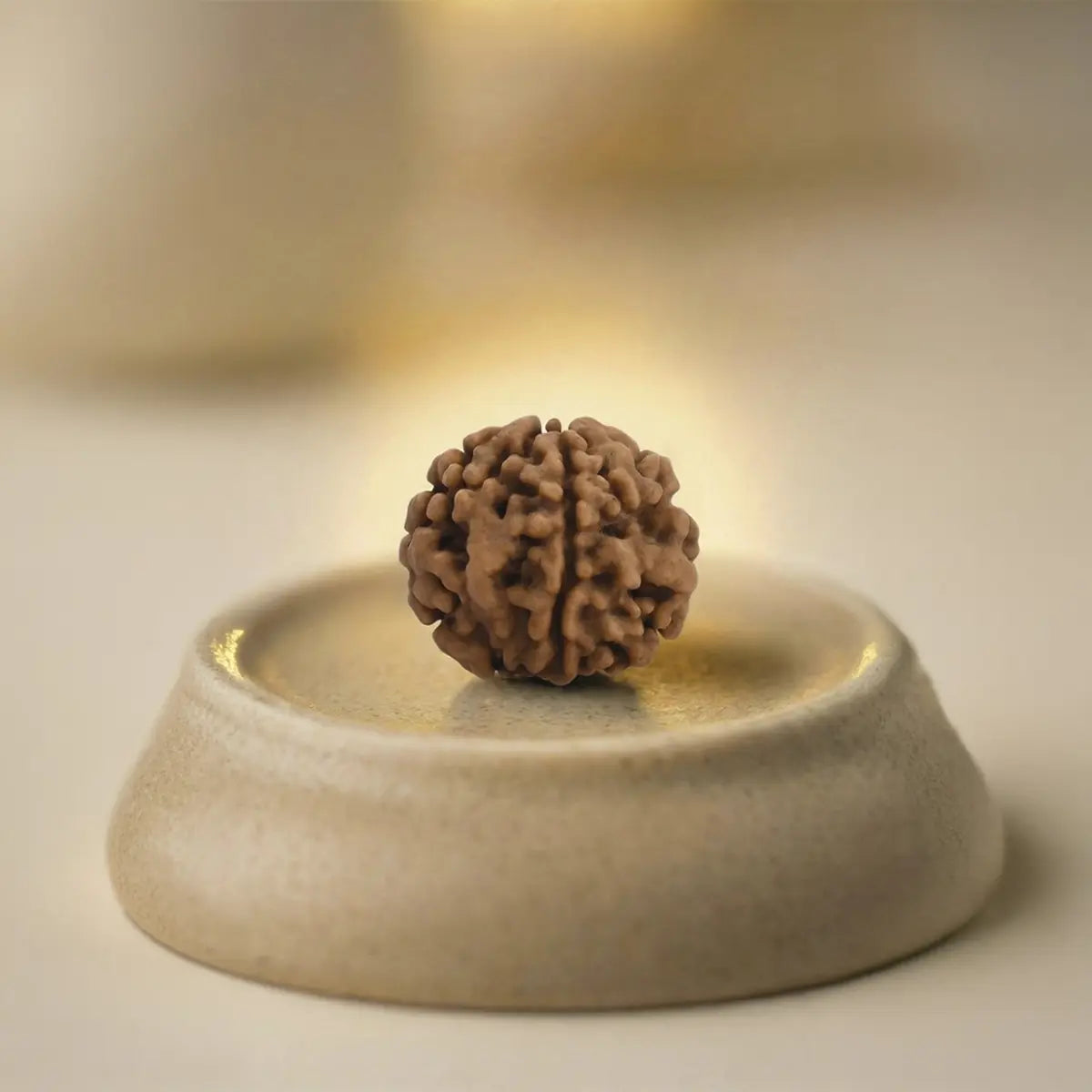 Nepal Origin 1 Mukhi Rudraksha