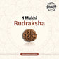 Nepal Origin 1 Mukhi Rudraksha