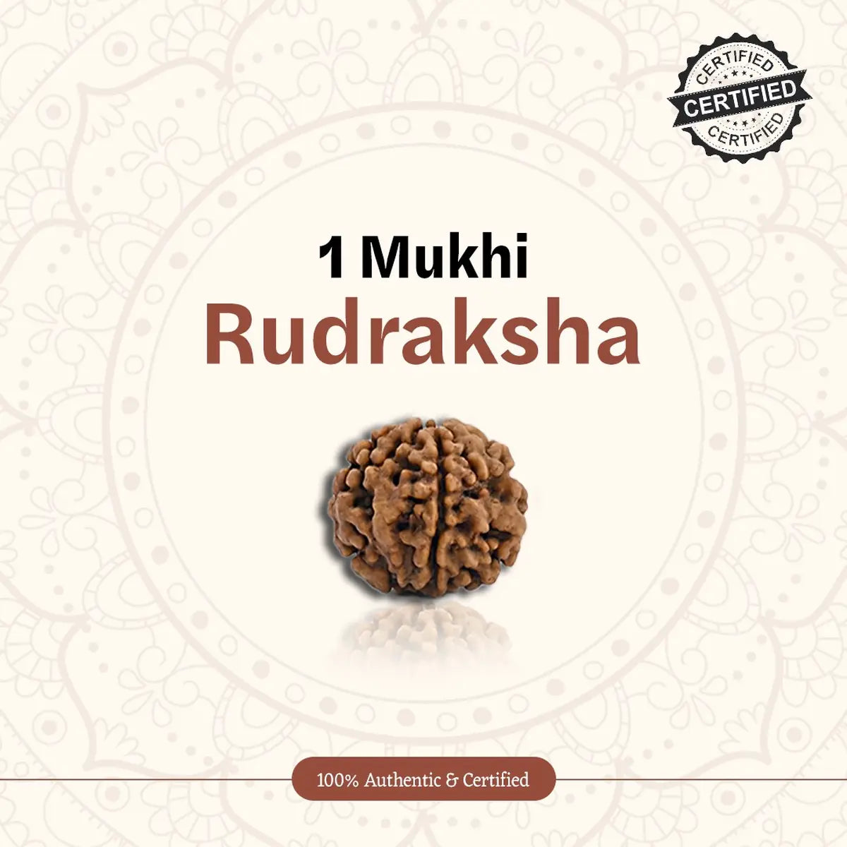 Nepal Origin 1 Mukhi Rudraksha