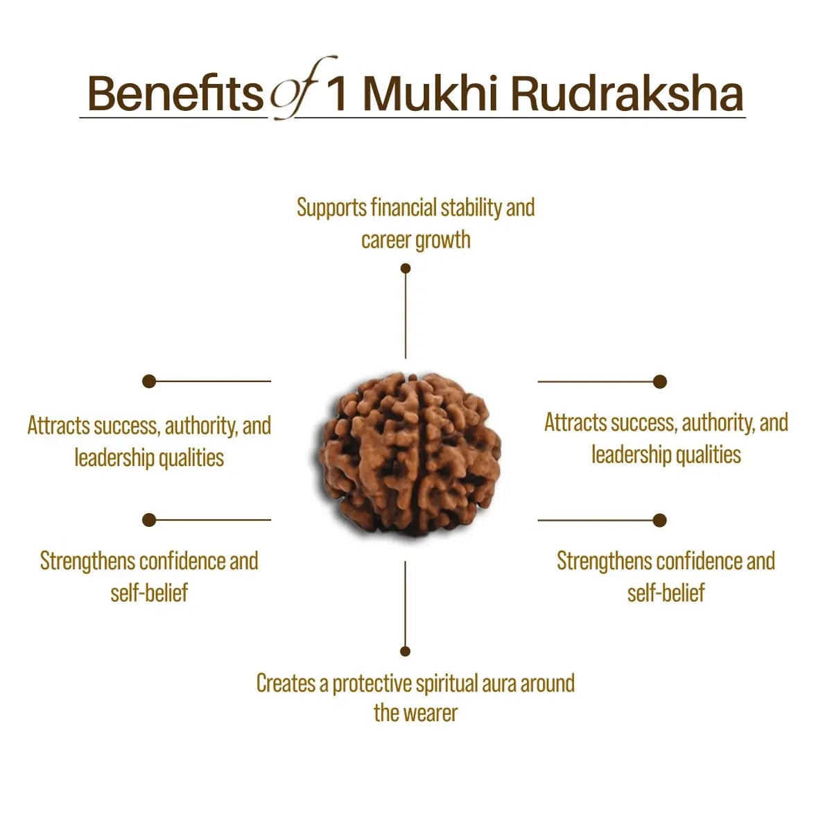 Nepal Origin 1 Mukhi Rudraksha