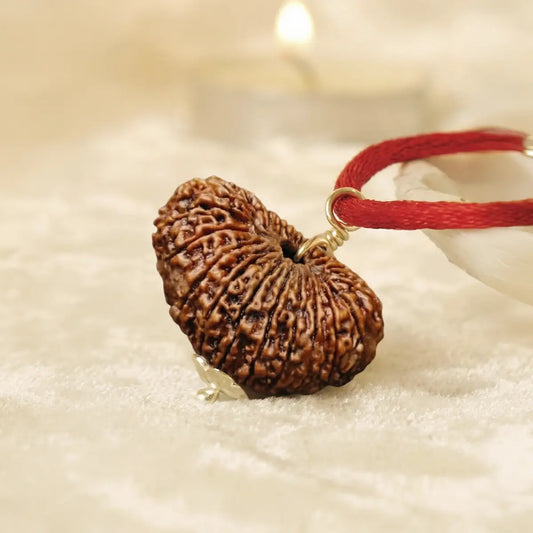 Nepal Origin 20 Mukhi Rudraksha