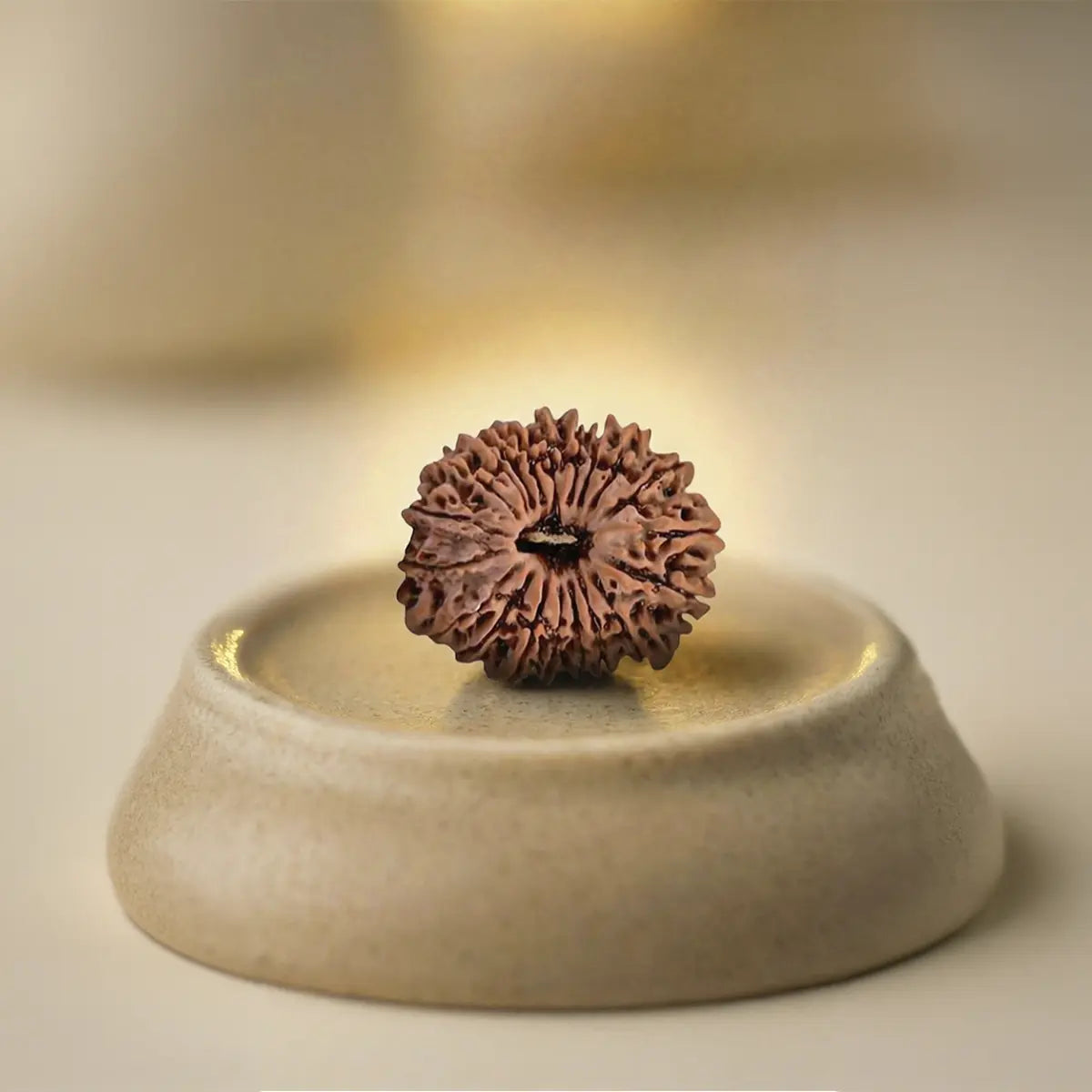 Nepal Origin 20 Mukhi Rudraksha