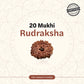 Nepal Origin 20 Mukhi Rudraksha