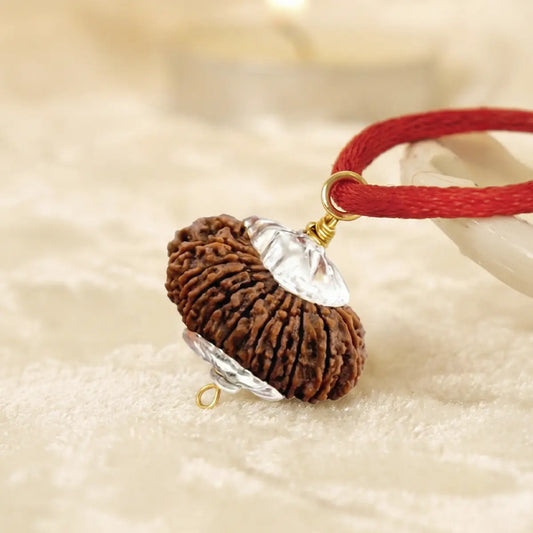 Nepal Origin 21 Mukhi Rudraksha