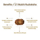 Nepal Origin 21 Mukhi Rudraksha