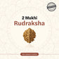 Nepal Origin 2 Mukhi Rudraksha