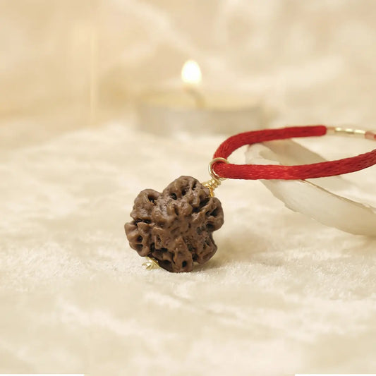 Nepal Origin 3 Mukhi Rudraksha
