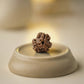 Nepal Origin 3 Mukhi Rudraksha