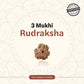 Nepal Origin 3 Mukhi Rudraksha