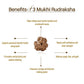 Nepal Origin 3 Mukhi Rudraksha