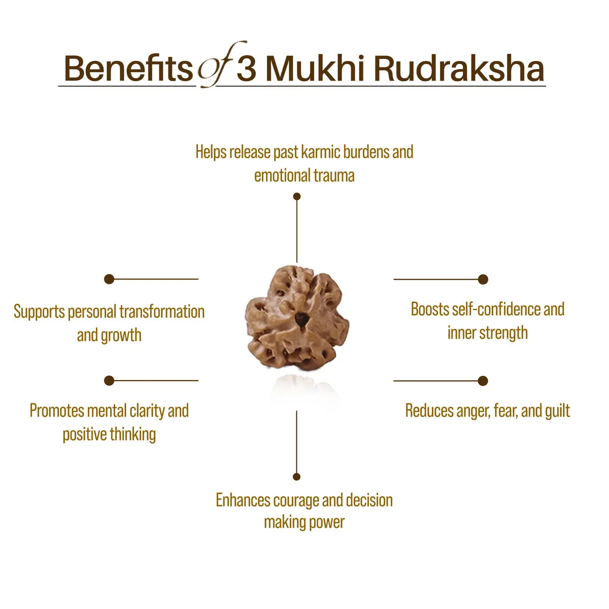 Nepal Origin 3 Mukhi Rudraksha