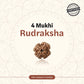 Nepal Origin 4 Mukhi Rudraksha