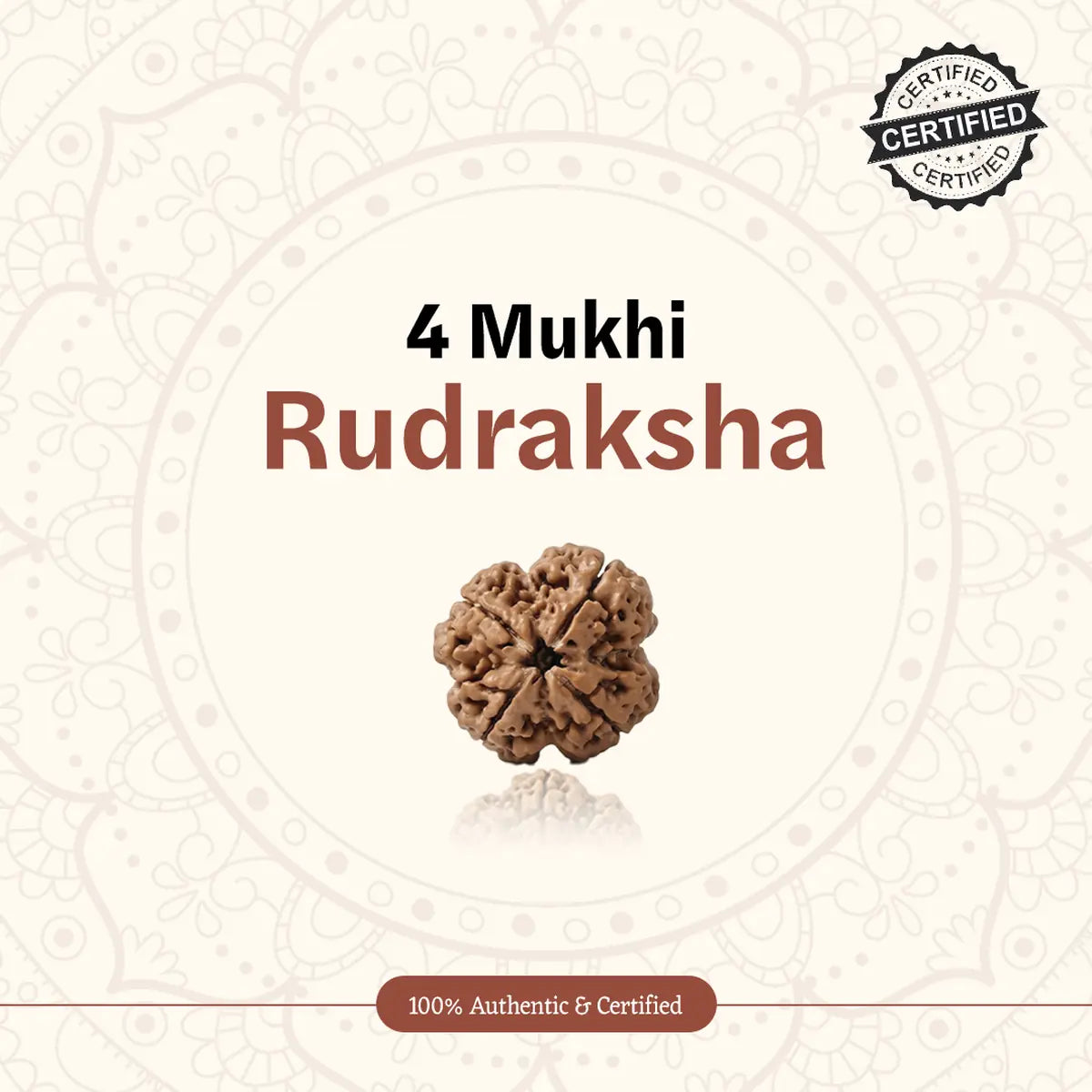 Nepal Origin 4 Mukhi Rudraksha
