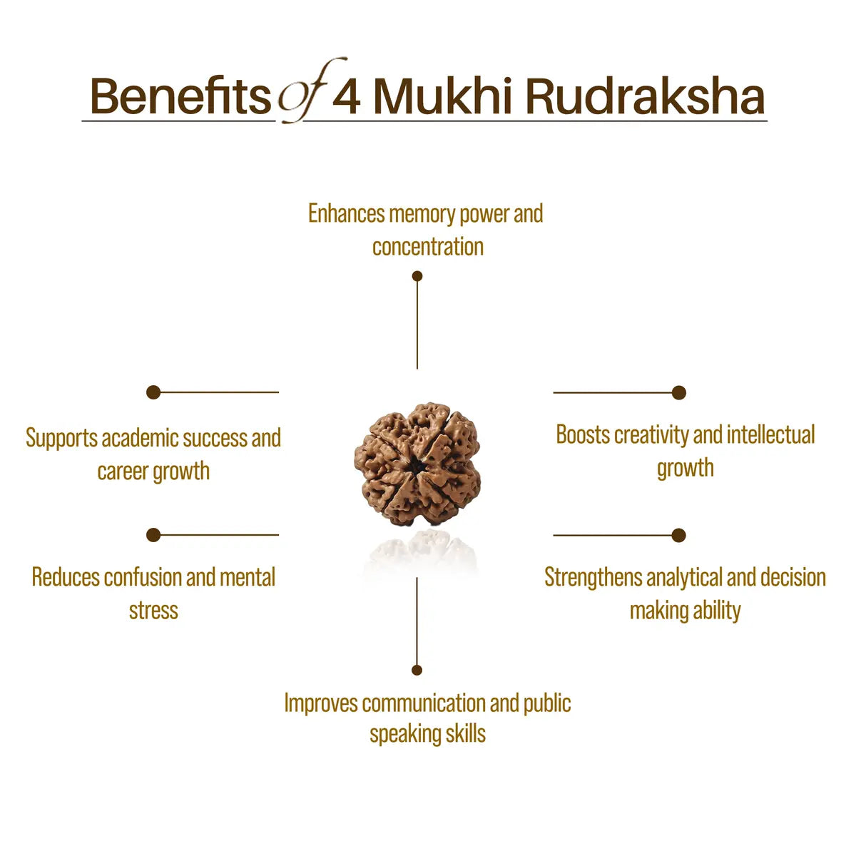 Nepal Origin 4 Mukhi Rudraksha