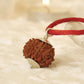 Nepal Origin 5 Mukhi Rudraksha