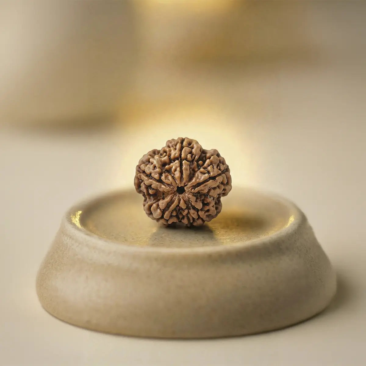 Nepal Origin 5 Mukhi Rudraksha