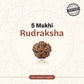 Nepal Origin 5 Mukhi Rudraksha