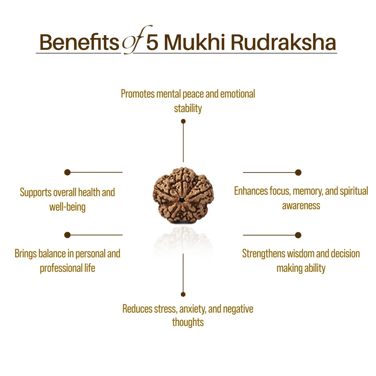 Nepal Origin 5 Mukhi Rudraksha