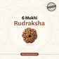 Nepal Origin 6 Mukhi Rudraksha