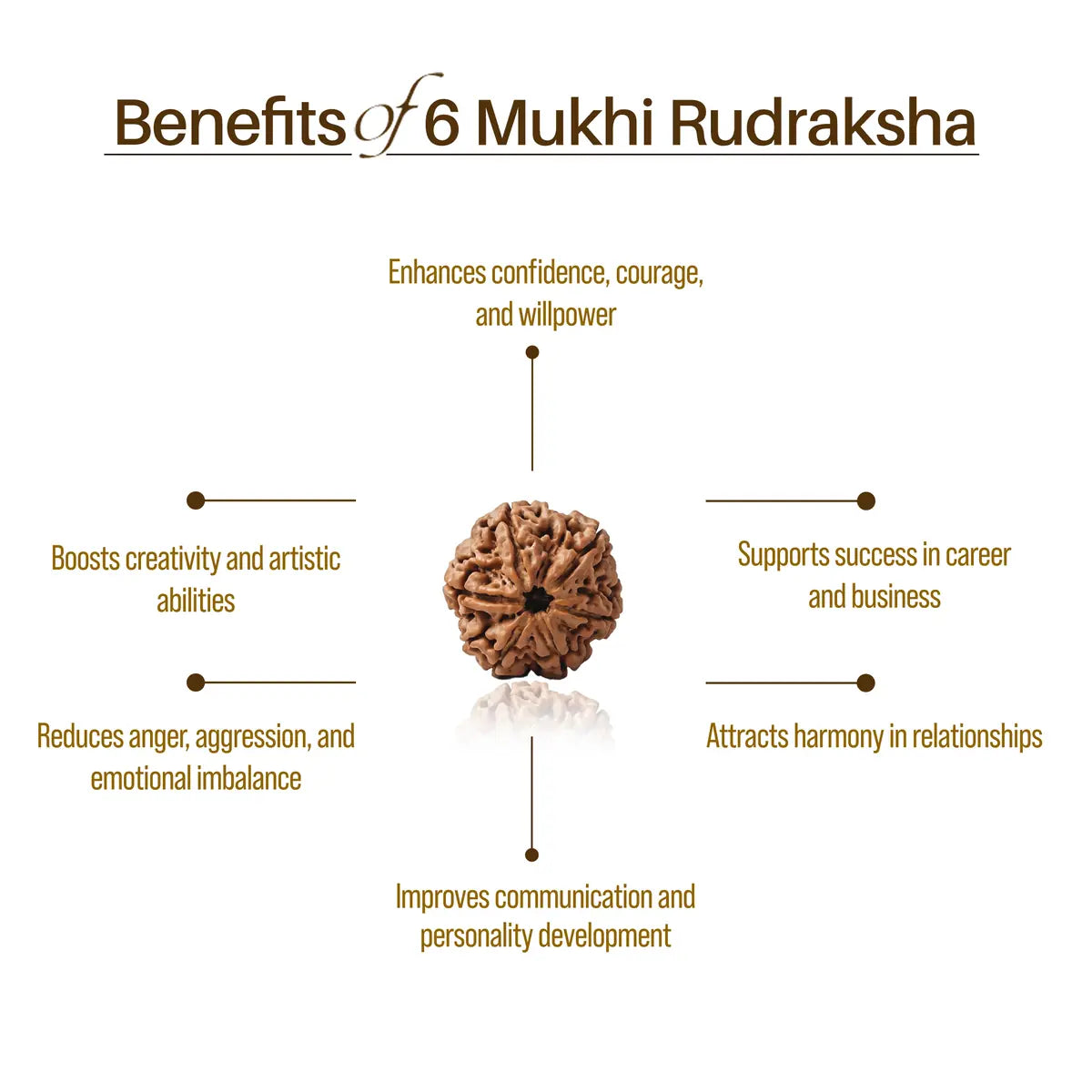 Nepal Origin 6 Mukhi Rudraksha