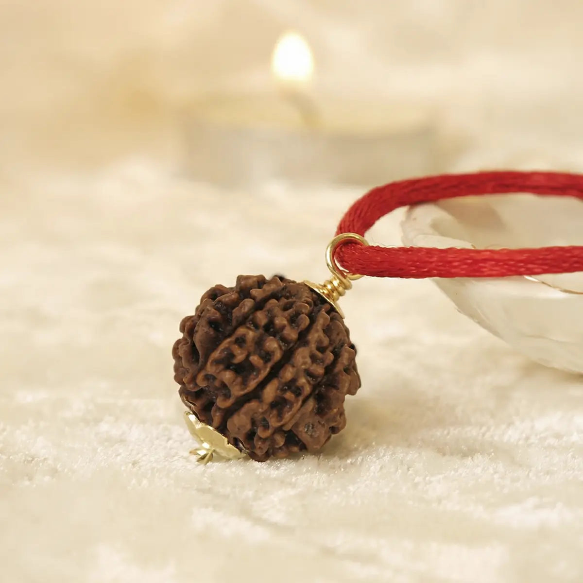 Nepal Origin 7 Mukhi Rudraksha