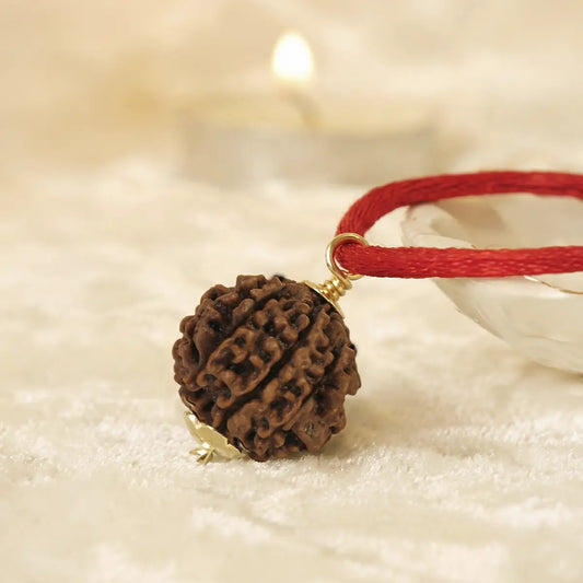 Nepal Origin 7 Mukhi Rudraksha