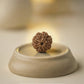 Nepal Origin 8 Mukhi Rudraksha