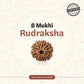 Nepal Origin 8 Mukhi Rudraksha